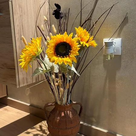M&k Apartament Rovinj